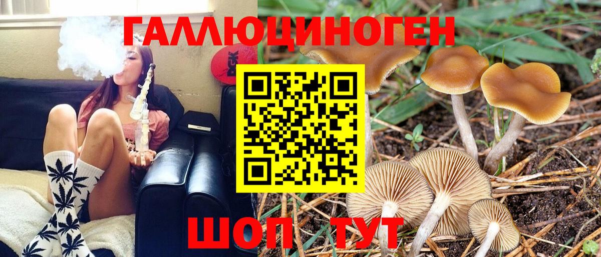 Псилоцибиновые грибы прущие грибы Калуга