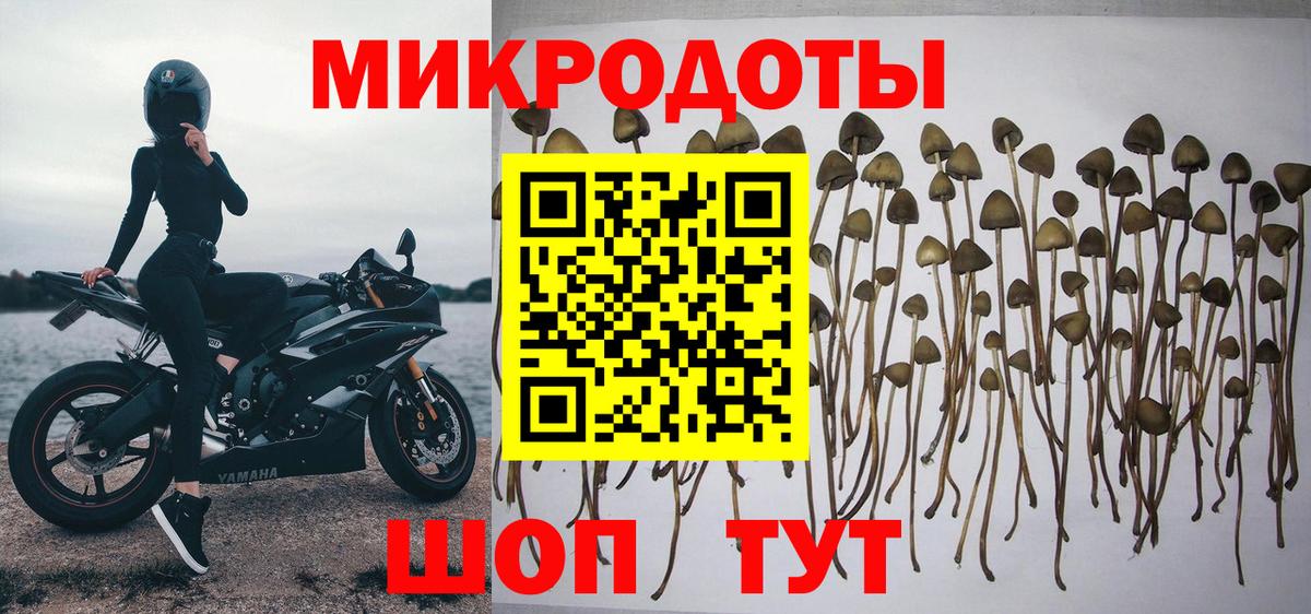 Псилоцибиновые грибы MAGIC MUSHROOMS  Вход с VPN  Калуга 